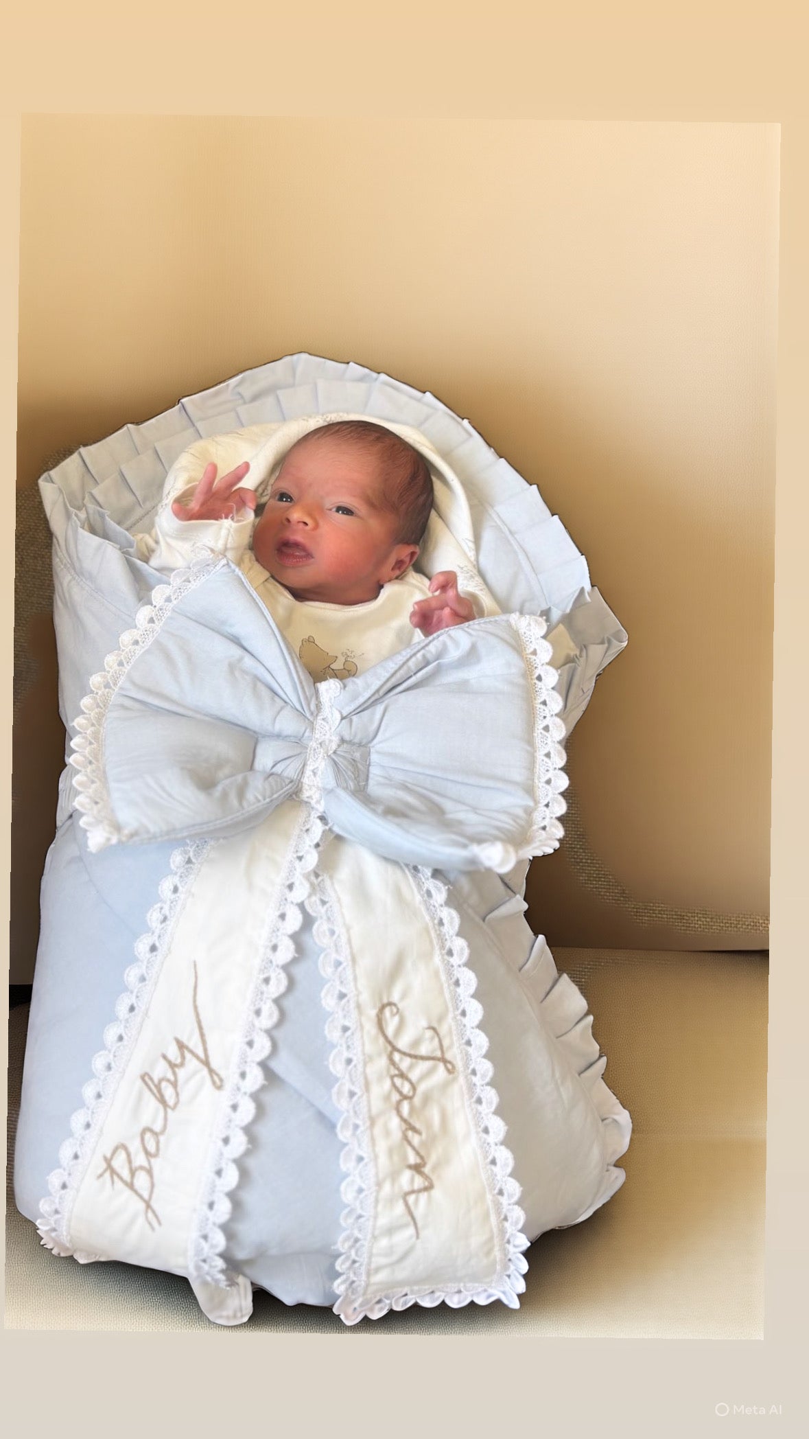 Welcome Home Baby Carrier
