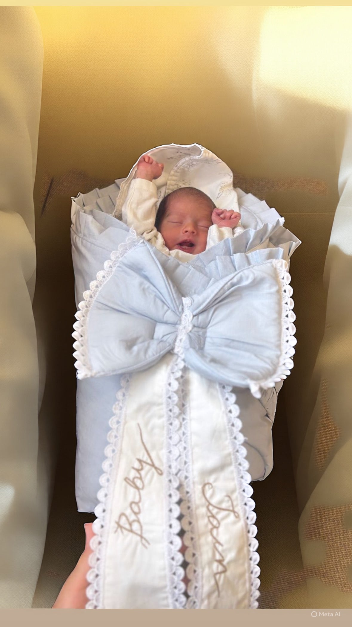 Welcome Home Baby Carrier