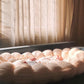The Sleep Bubble Bed